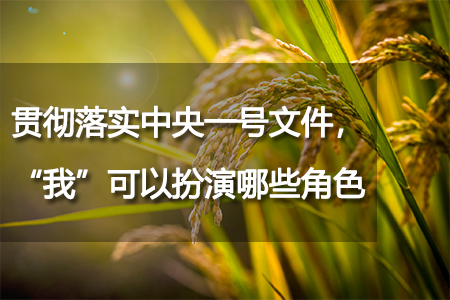 貫徹落實(shí)中央一號文件，“我”可以扮演哪些角色？